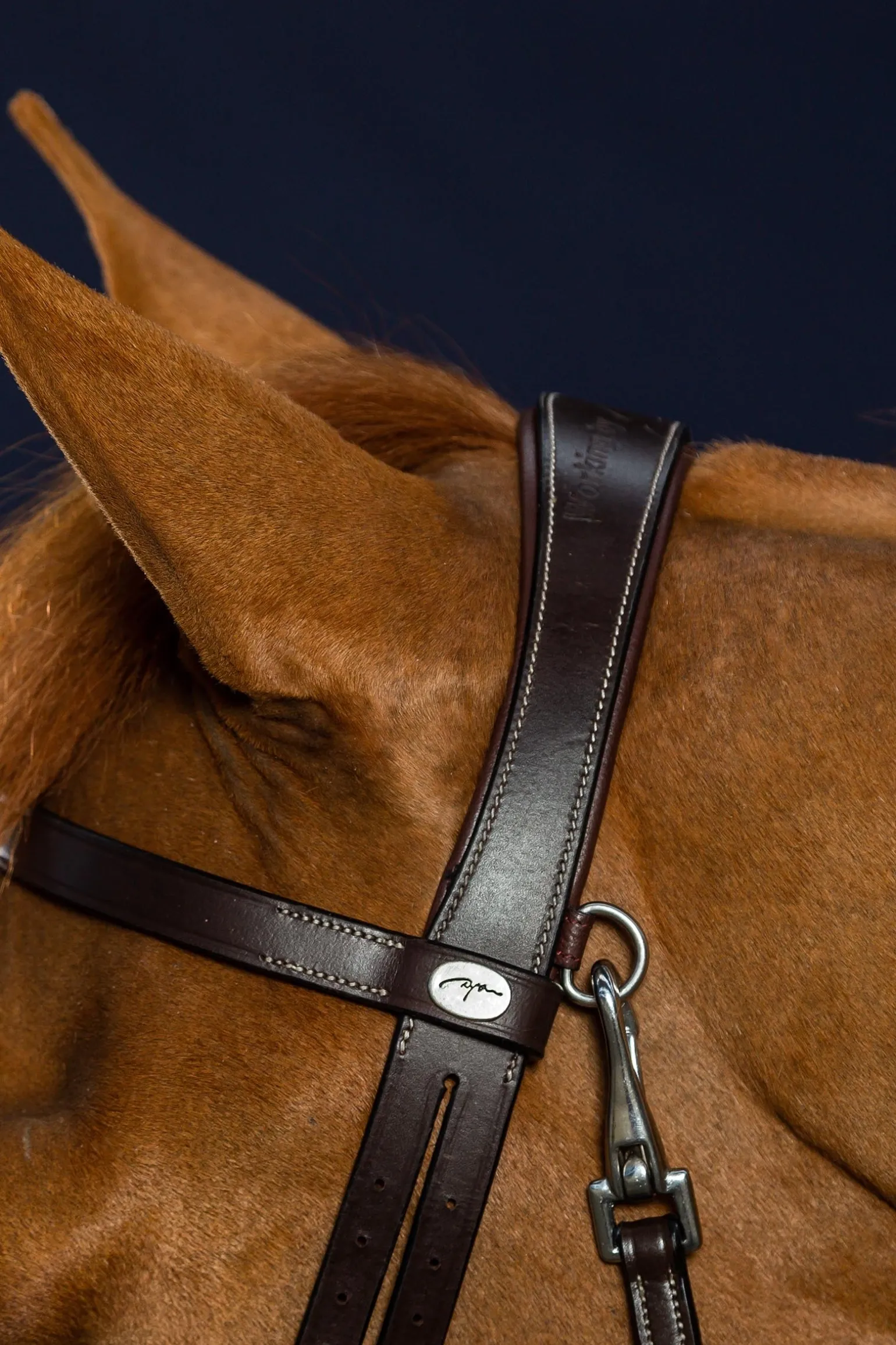 Working Trense aus flachem Leder mit Karabinerhaken