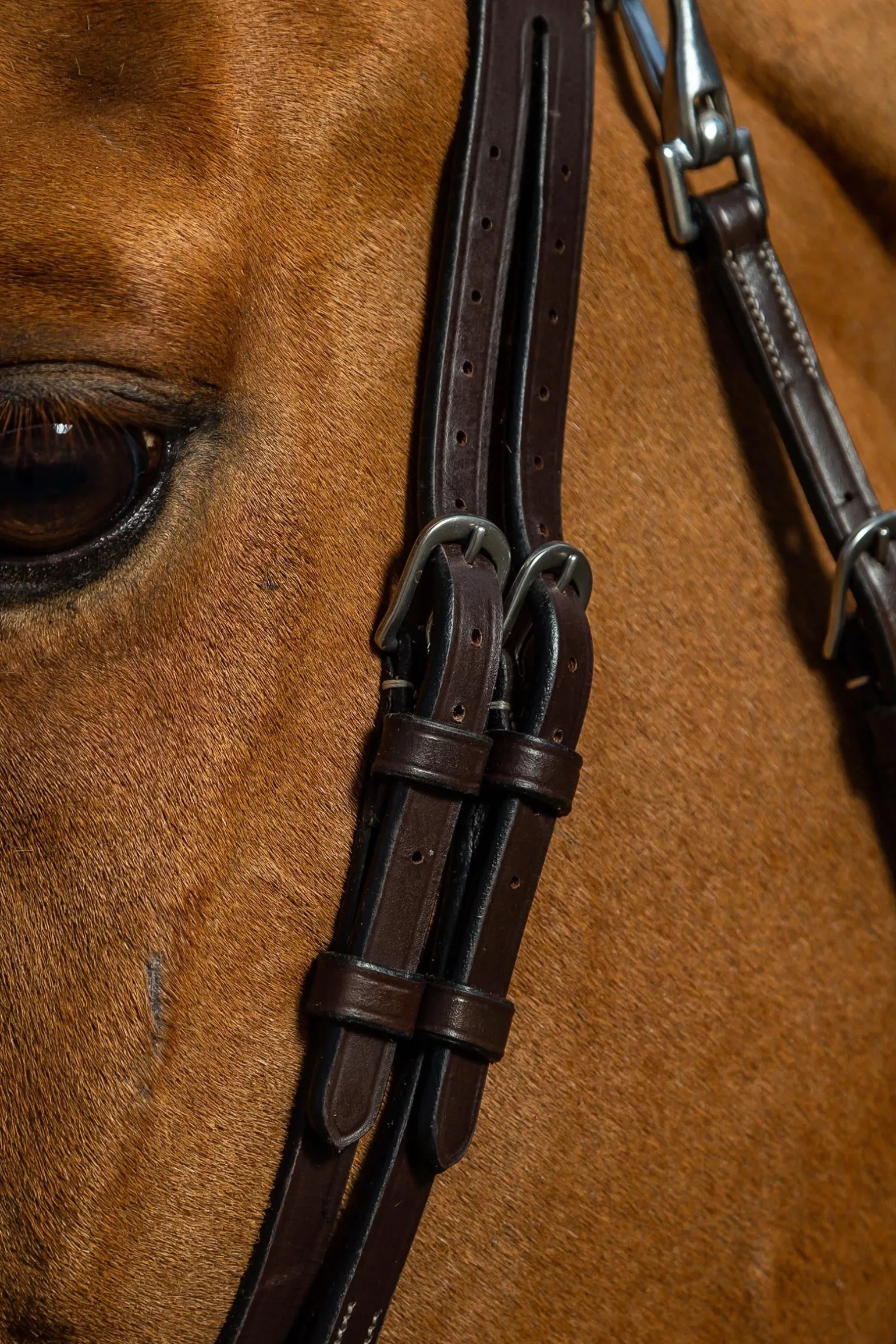 Working Trense aus flachem Leder mit Karabinerhaken