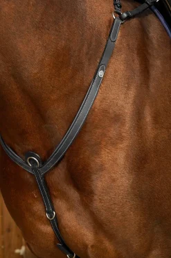 Working Vorderzeug mit Brücke