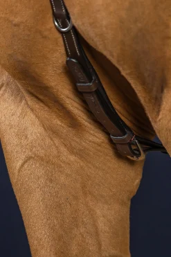 Working Vorderzeug mit Brücke