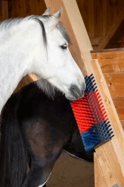 XL Kratzbürste, rund