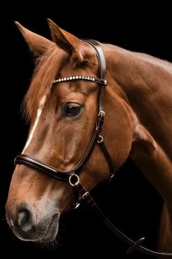 X-Line Sensation anatomische gebisslose Trense