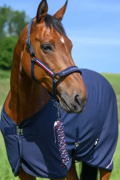 Yale Set Halfter & Strick