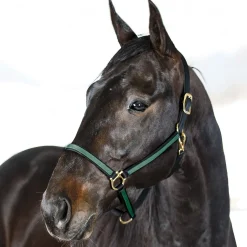 Yankee Nylon-Halfter, 20mm