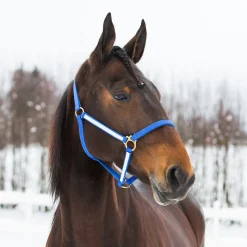 Yankee Nylon-Halfter, 20mm