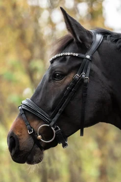 Zora Krank Trense mit Sprerriemen