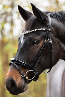 Zora Krank Trense mit Sprerriemen